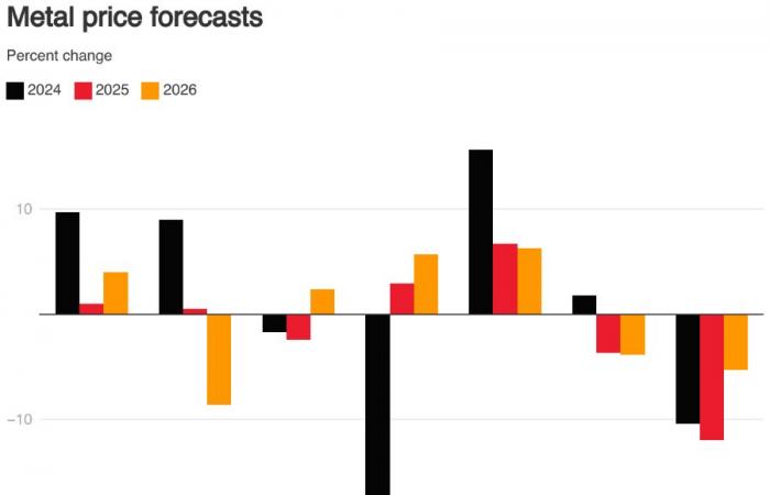 Materias primas: perspectivas para 2025 – Invest.ch