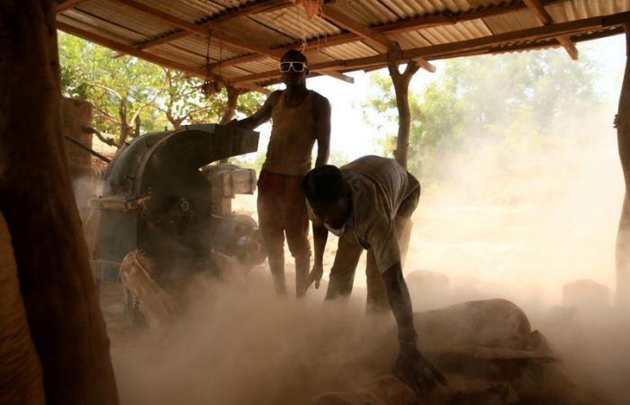 Nigeria reanuda la minería en el estado de Zamfara a medida que mejora la seguridad