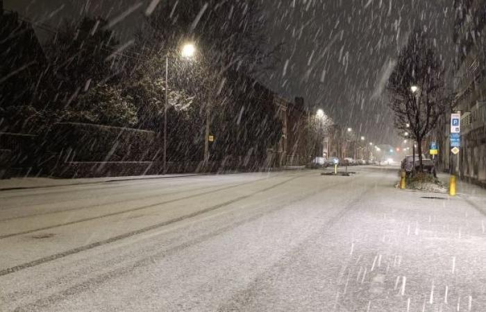 “Grandes caídas en Lieja”, “Una hermosa bata blanca”: la nieve cubre parte del país este lunes por la mañana