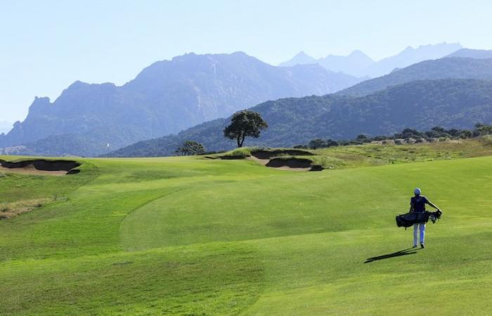 La finca Murtoli se está expandiendo