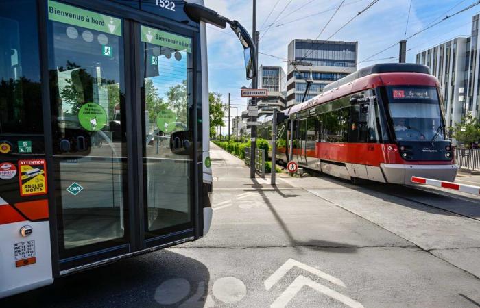 47 nuevos autobuses articulados a gas para Sytral Mobilités