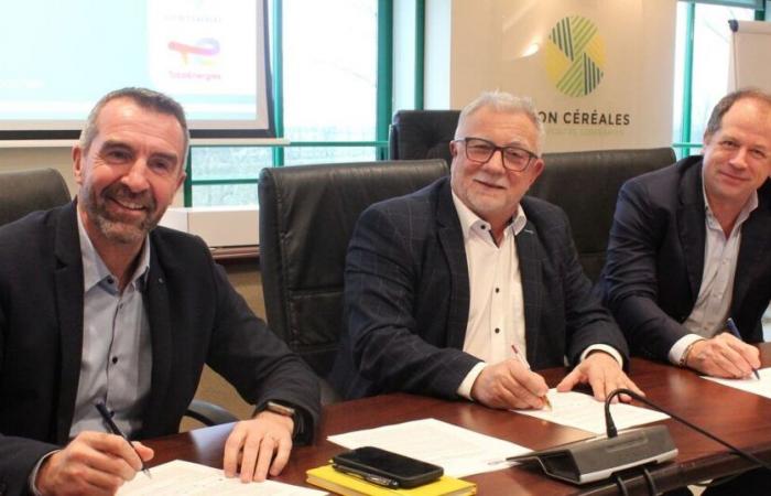 Dijon Céréales y TotalEnergies impulsan juntos el agrivoltaismo