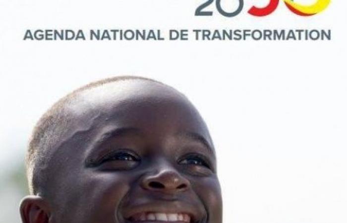 ¿Has leído el marco Senegal 2050? ¡4 medidas que no te puedes perder!