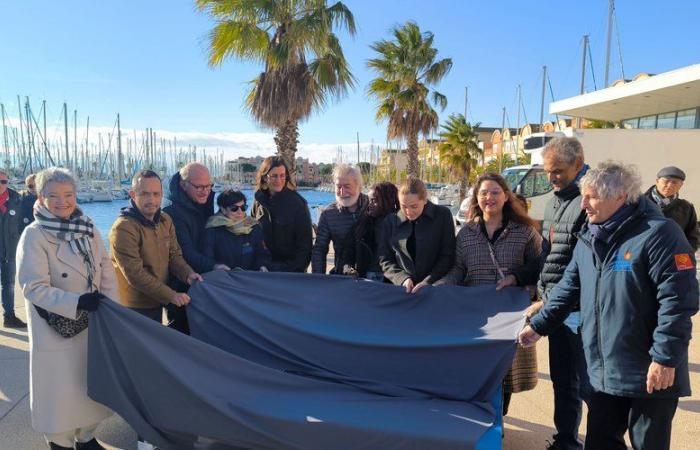 “Es un libro de visitas atemporal”: un banco Naelou número 78 instalado en el puerto de Gruissan