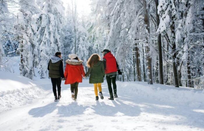 ¿Cuánto tiempo se debe esperar antes de una caminata digestiva?