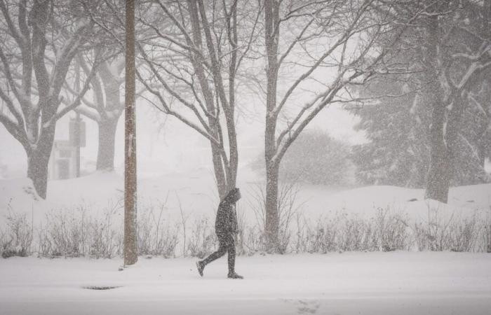 Alfombra blanca para Navidad: entre 10 y 15 centímetros de nieve en el sur de Quebec