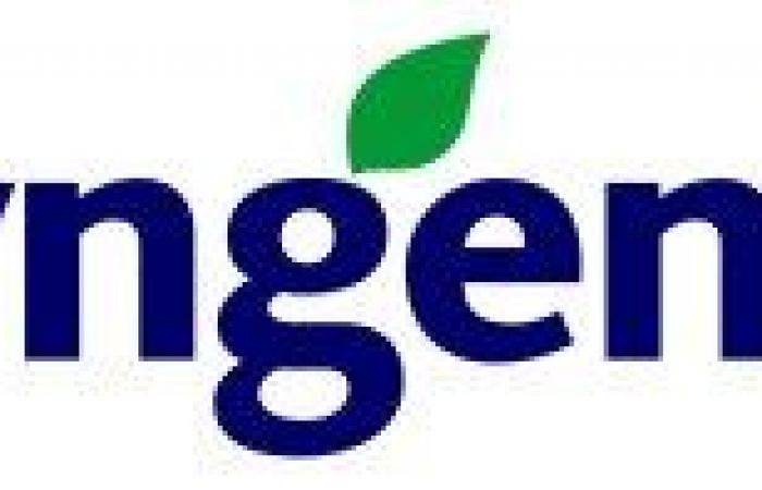 ¡En Agadir, Syngenta lanza 5 nuevas variedades de calabacín más resistentes! – AgriMaroc.ma