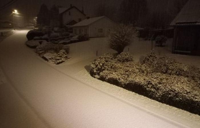 “Grandes caídas en Lieja”, “Una hermosa bata blanca”: la nieve cubre parte del país este lunes por la mañana