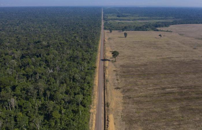 Reveladas por primera vez imágenes de un pueblo aislado en la selva amazónica