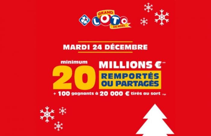 ¡Intenta ganar 20 millones de euros para el FDJ Christmas LOTO® Grand!