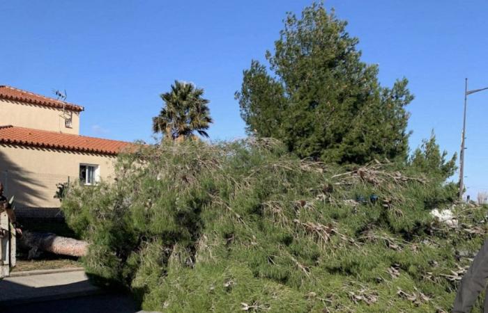 La tormenta causa daños en los Pirineos Orientales: los bomberos se movilizaron