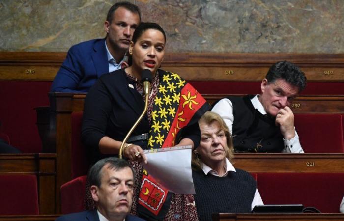 la perorata de la diputada Estelle Youssouffa