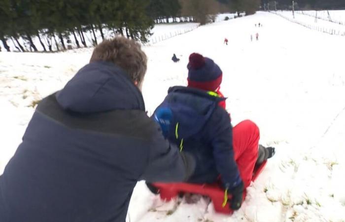 “Salta, vámonos”: los niños, empujados en su trineo por nuestro periodista, disfrutan de la nieve en Hautes-Fagnes