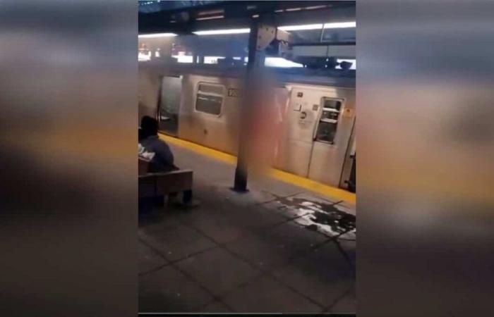 Mujer quemada viva en el metro de Nueva York: hombre arrestado