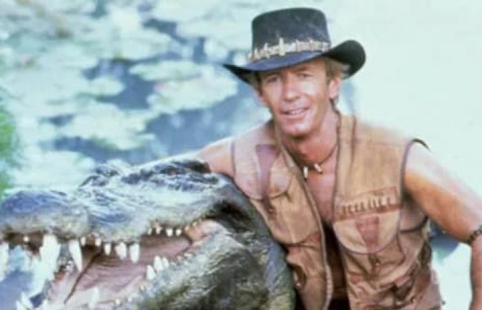 Muerte del cocodrilo Burt, protagonista de la famosa película “Crocodile Dundee”