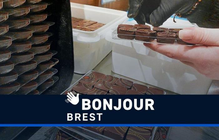 Récord, precio del chocolate e idea para mantener ocupados a los niños: ¡Hola Brest!