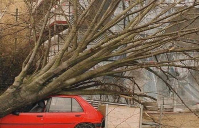 Tormentas del siglo: hace 25 años, en diciembre de 1999, Lothar y Martin devastaron Francia