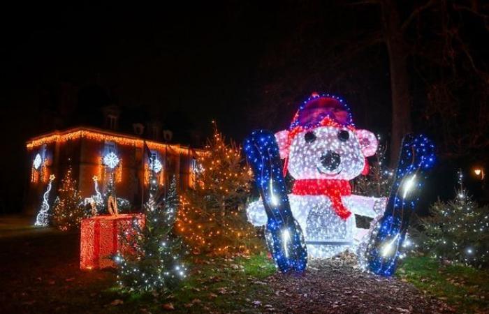 Luces, ositos de peluche… El ambiente festivo de los municipios de la conurbación de Limoges en imágenes