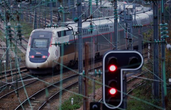 Una decena de TGV del Sudeste retrasados ​​tras un “accidente personal” en Sena y Marne