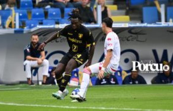 Frosinone, primer cruce de salvación en el “boxing day” – AlessioPorcu.it