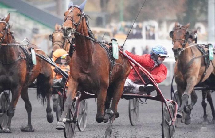 PMU – Llegada del quinté el martes 24 de diciembre a París-Vincennes: Isofou du Chêne derriba a Cobra Killer Gar