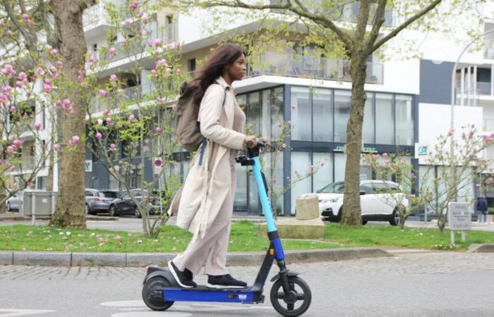 ¿Qué está pasando con los patinetes eléctricos en Holanda?