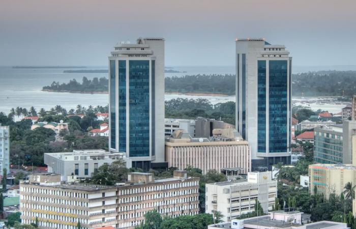 Tanzania: el banco central elimina las comisiones por transacciones con tarjetas