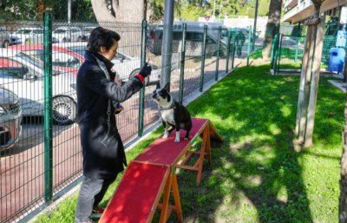 Cannes inaugura su primer parque para perros en el centro de la ciudad