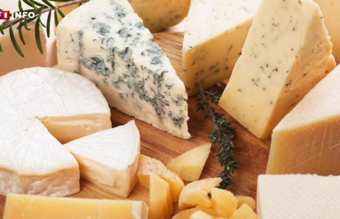 “Siempre hay algo en la nevera”: descubre qué queso ha sido coronado como el mejor de Francia