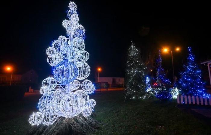 Luces, ositos de peluche… El ambiente festivo de los municipios de la conurbación de Limoges en imágenes