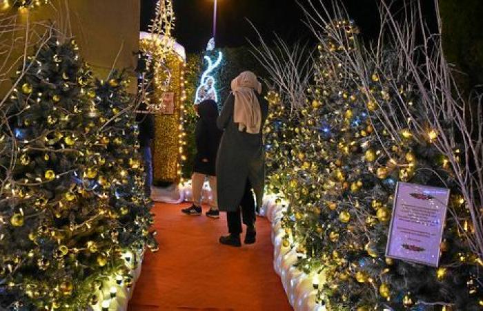 Cerca de Saint-Malo, las iluminaciones de esta casa atraen a la gente desde hace 10 años