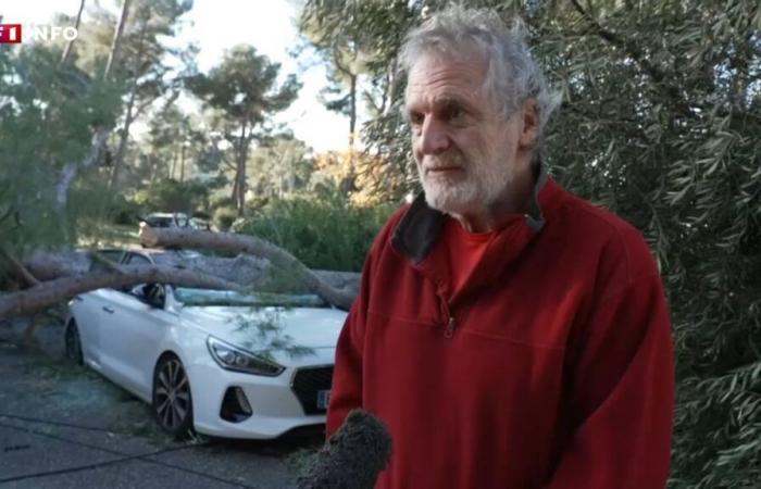 “Cuando salí, el coche estaba así”: imágenes de los destrozos en el Var tras la tormenta