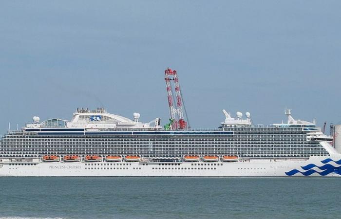 “Alguien la sujetó del brazo antes de que cayera”: Muere pasajera del crucero Sky Princess tras caer al agua