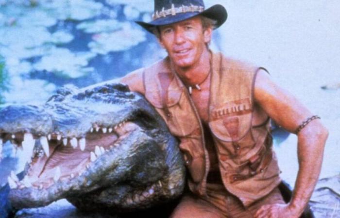 Murió Burt, el cocodrilo protagonista de la película “Mr.”. Crocodile Dundee”: “Es el fin de una era increíble”