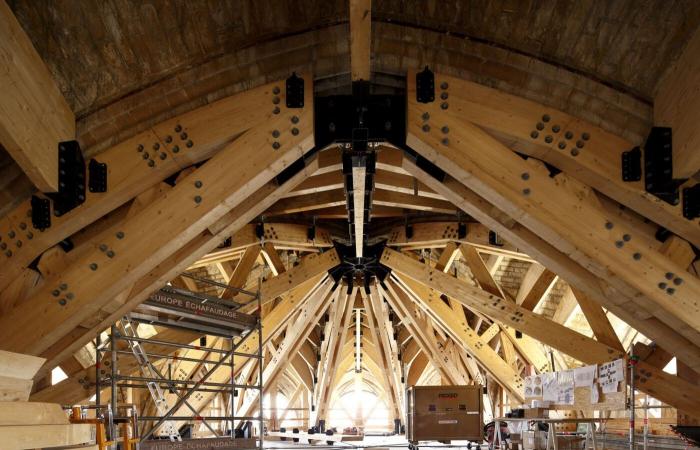 La reconstrucción de Notre-Dame de París, la mirada de los fotógrafos en el corazón de la obra