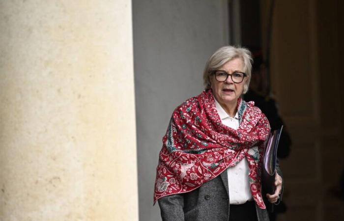 En Salud y Trabajo, Catherine Vautrin hereda una cartera XXL – Libération