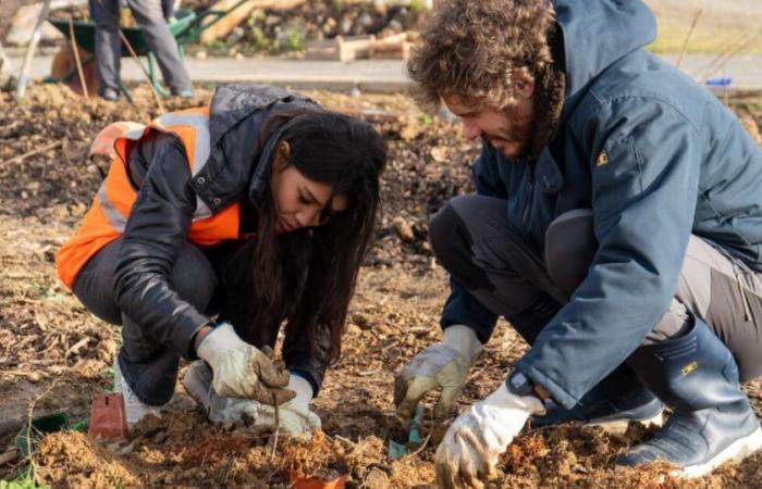 UN PARAÍSO NATURAL EN EL CORAZÓN DEL CENTRO TÉCNICO DE MANTENIMIENTO DE SNCF BRETAGNE