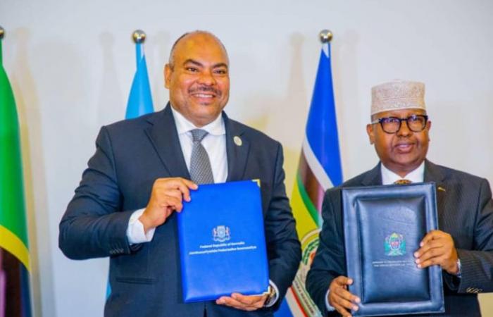 Somalia y Tanzania fortalecen su asociación