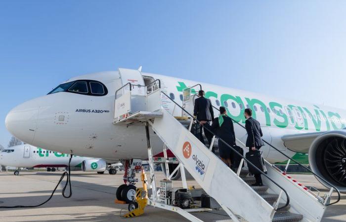 Vuelos entre Montpellier y Bastia desde 45 euros: Transavia lanza una nueva aerolínea para el verano de 2025