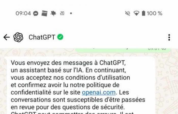 ChatGPT llega a WhatsApp: aquí tienes el número que debes guardar en tus contactos para empezar a chatear