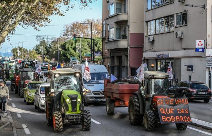 Mantener a Annie Genevard en el Ministerio de Agricultura: “esto nos permite no volver al punto de partida”, reaccionan los sindicatos de los Pirineos Orientales