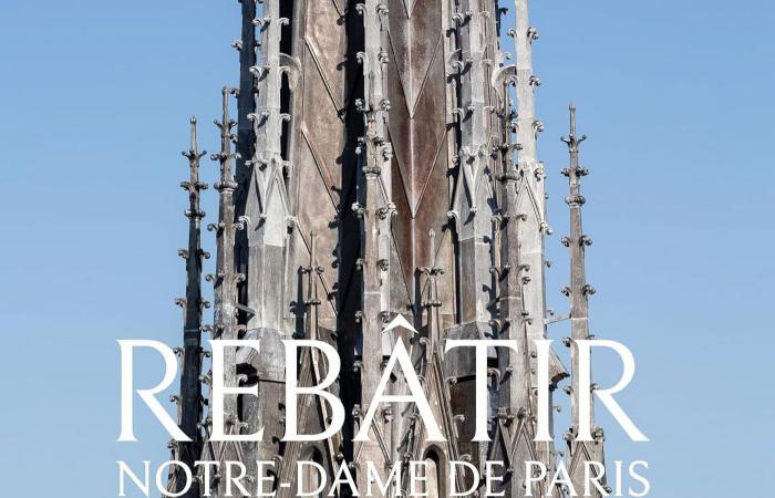 La reconstrucción de Notre-Dame de París, la mirada de los fotógrafos en el corazón de la obra