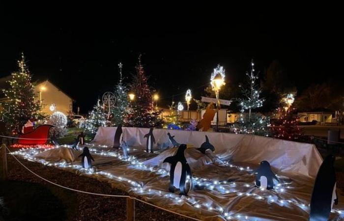 Luces, ositos de peluche… El ambiente festivo de los municipios de la conurbación de Limoges en imágenes