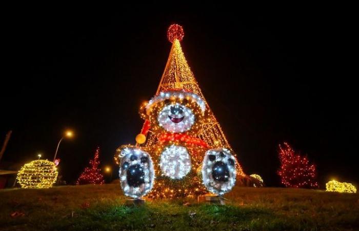 Luces, ositos de peluche… El ambiente festivo de los municipios de la conurbación de Limoges en imágenes