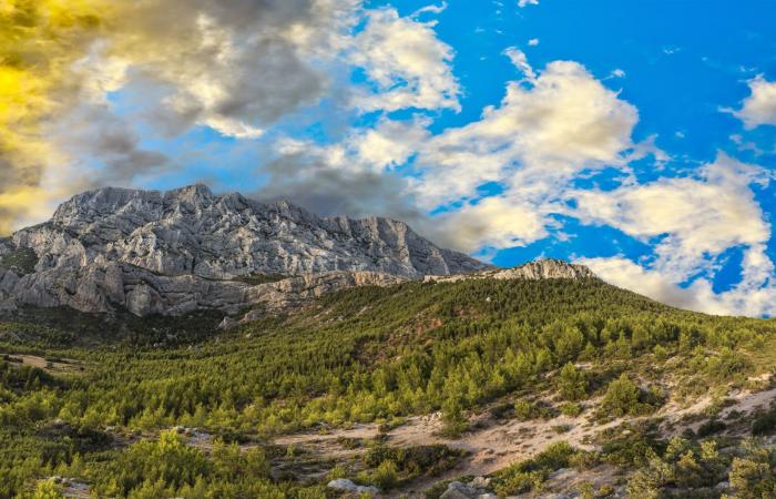 Aix-en-Provence: Cézanne año 2025 ¡reserva tus plazas!