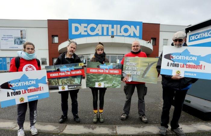 Montauban. Paz denuncia venta de peces vivos en Decathlon