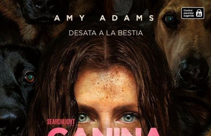 La película que muestra el lado “salvaje” de la maternidad con Amy Adams, llega al streaming