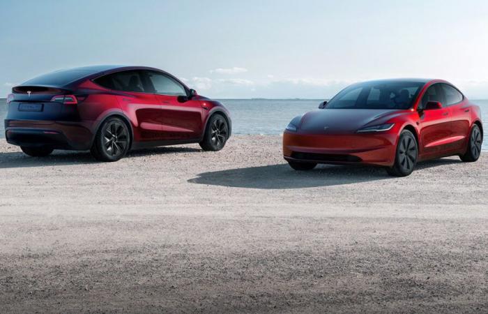 Los créditos de referencia de Tesla ahora se pueden usar para comprar meses de suscripción a FSD al por mayor