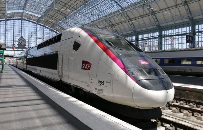 “Terrible drama en Nochebuena”: un conductor de TGV se suicida saltando del tren