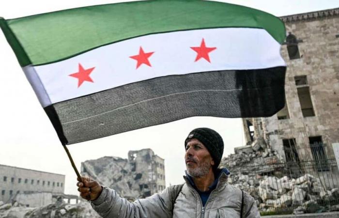 Siria: grupos armados integrados en el Ministerio de Defensa